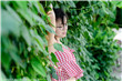 爱很美味全集